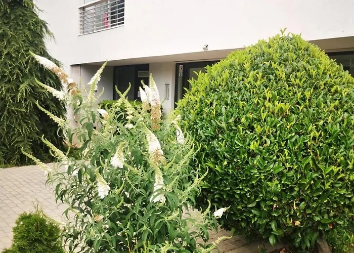 Nr 5 Private Apartament *